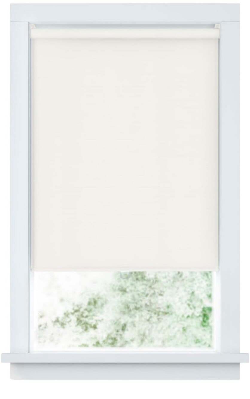 LEVOLOR Basics Cordless Blackout Roller Shade, 34" x 72", #R028